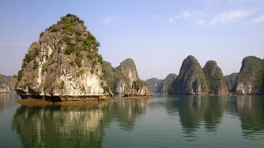 智能智能